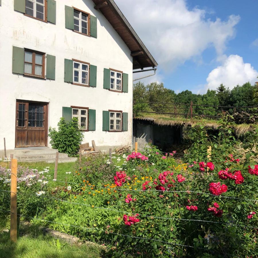 Ferienwohnung Allgaeuliebe In Oy-Mittelberg Εξωτερικό φωτογραφία